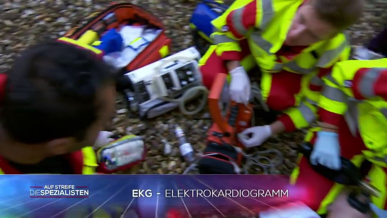 Sebastian hängt im Baum! Rettungsteam, Feuerwehr und Polizei im Einsatz! | Auf Streife | SAT.1 TV