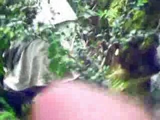 Truite Fario en milieu difficile