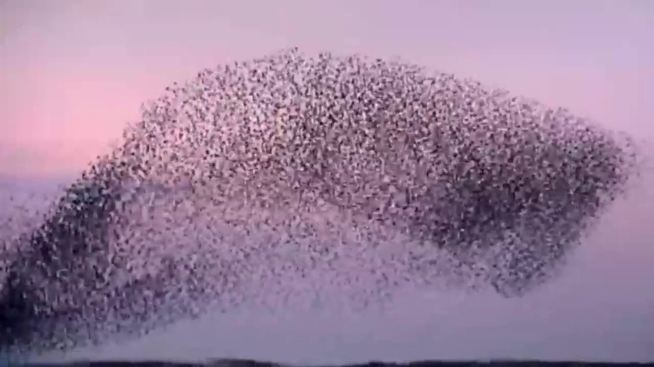The Amazing Wildlife of the Balkans - Nat Geo Documentary Part 3