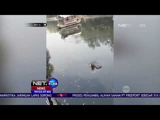 Seorang Jambret Terpaksa Masuk Kali Karena Dikepung Warga - NET 24
