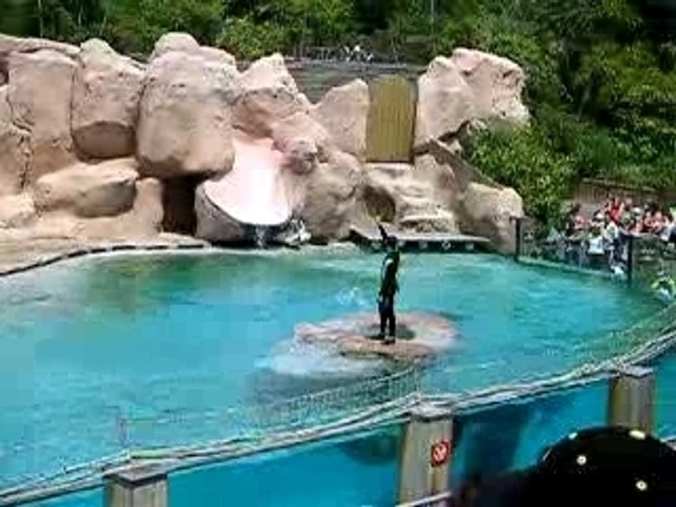 Zoo d Amneville