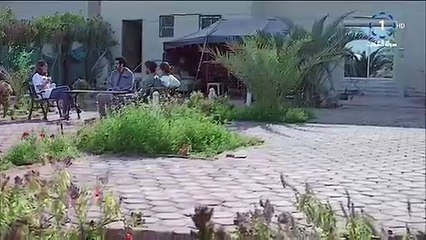 مسلسل ابو طبيع الحلقة 30 كاملة