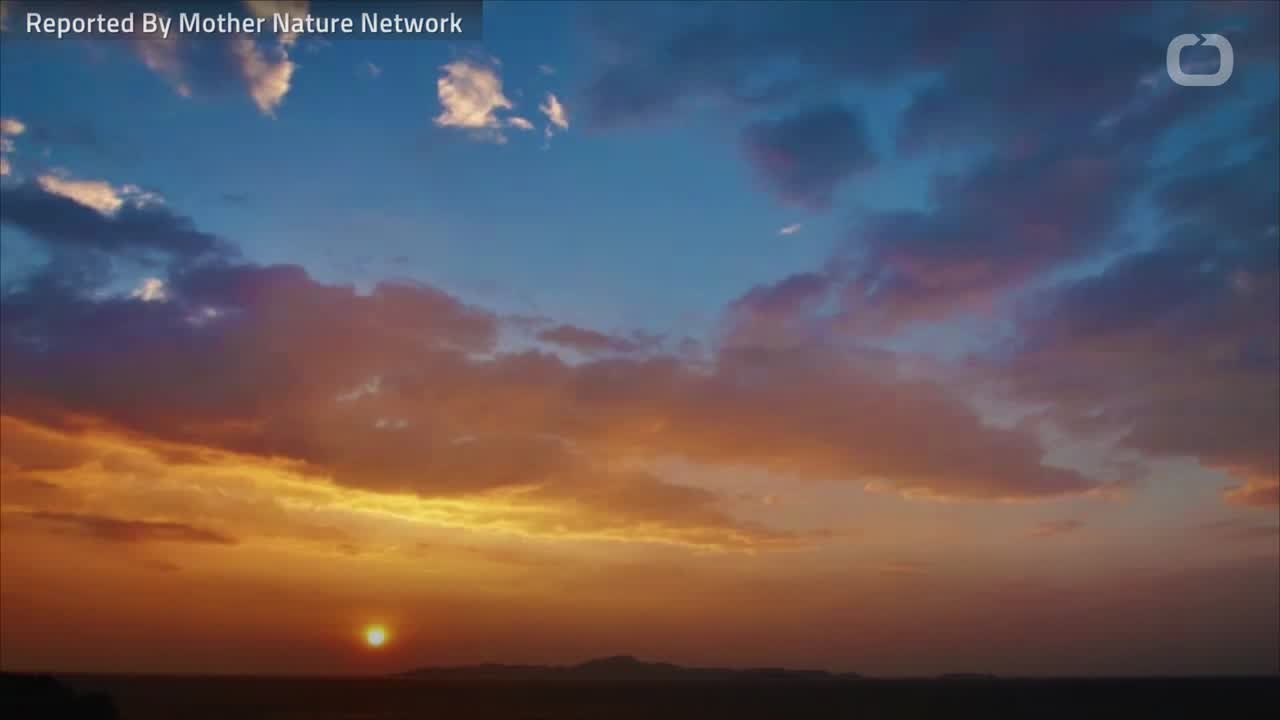 These Foods Are Perfect For Easy Snacking At The Beach