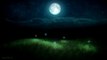 ♫ BEST SILENT NIGHT FIREFLIES SLEEP MUSIC FOR BABIES: Get Baby to Sleep Song, Moon Lullaby for Kids