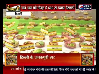 DELHI MANGO FESTIVAL