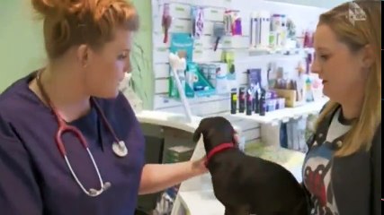 Vet on the Hill S01  E02 E 2 - Part 01