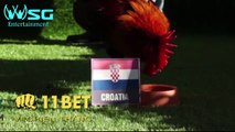Russia vs Croatia - World Cup 2018 QUARTER FINALS - Cute Animal Prediction