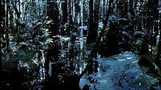 Swamp Thing - 3x26 - The Burning Times
