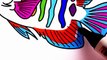 How to Draw Colorful Fish Coloring Pages Learn Color for Childrens