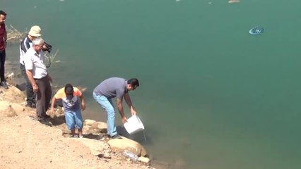 Yaylalardan Sonra Meralara da Huzur Geldi