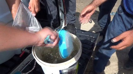 Yaylalardan sonra meralara da huzur geldi