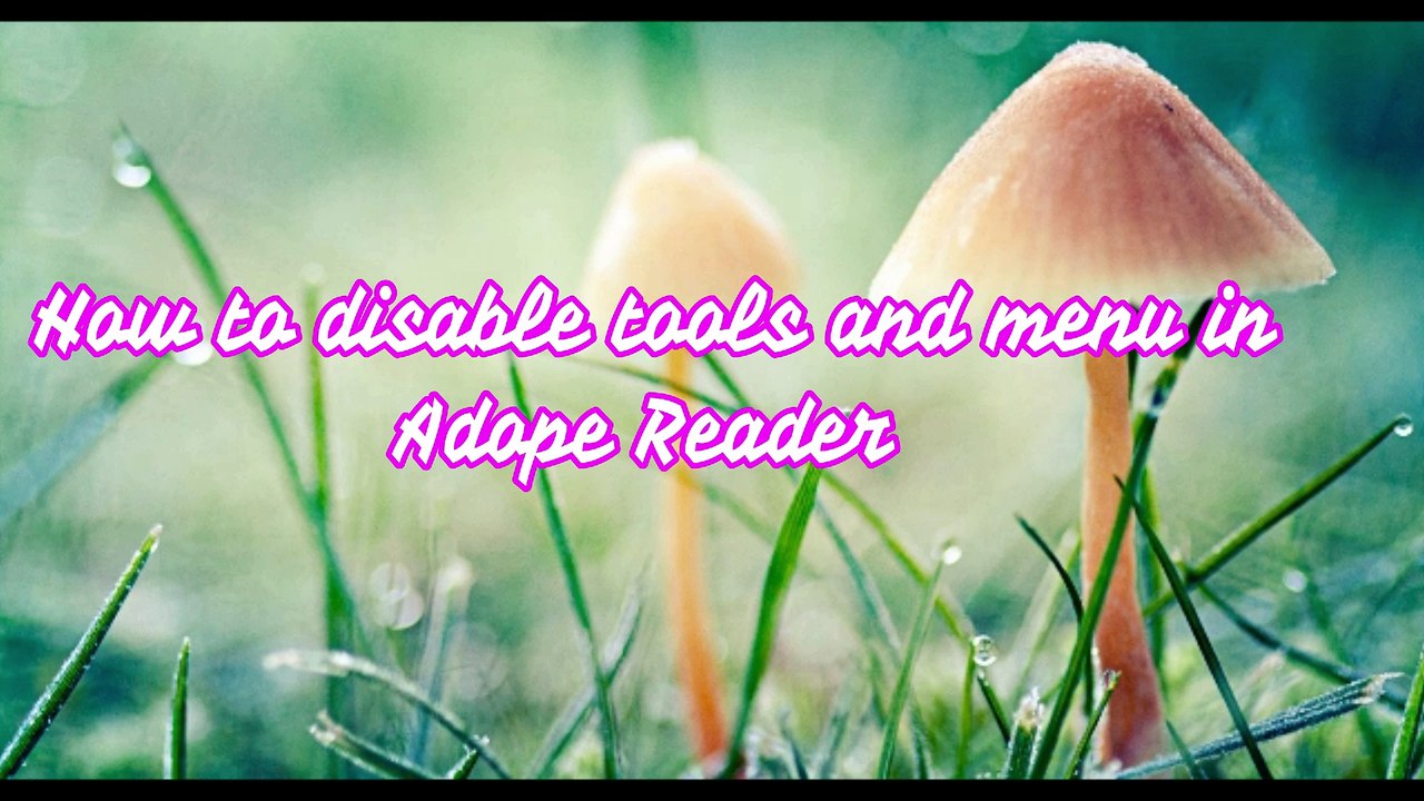 Permanently disable Menu and tools in Adobe Reader