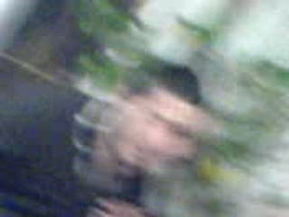 MOV00011
