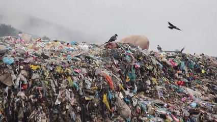 Mbetjet në Gjirokastër, ekspertët po përpiqen për një zgjidhje - Top Channel Albania - News - Lajme