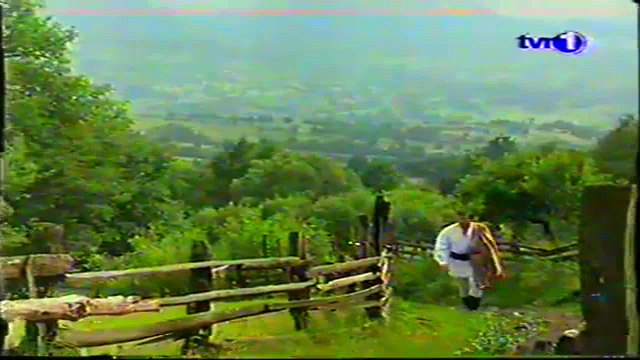 Aurel Tămaș - Floare de mălin