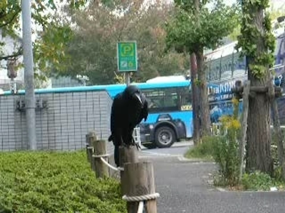 Corbeau crossant