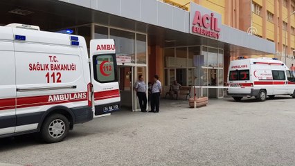 Ayının saldırısına uğrayan çocuk yaralandı - ERZİNCAN