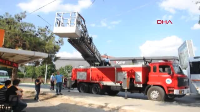 Tekirdağ Yuvadan Düşen Saka Kuşu Yavruları İçin Seferber Oldular