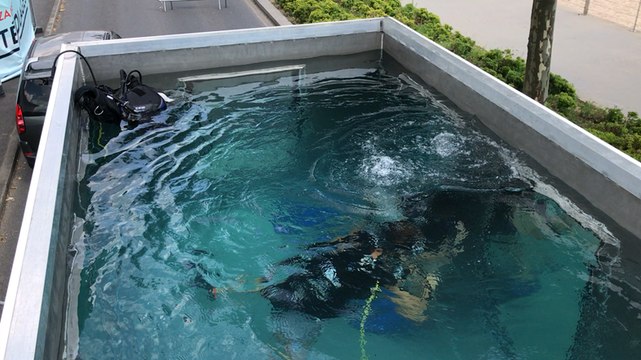 Baptêmes de plongée