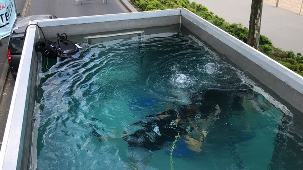 Baptêmes de plongée