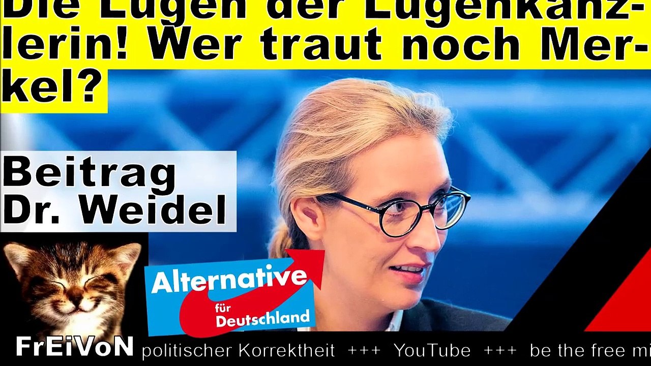 Die Lügen der Lügenkanzlerin - wer traut noch Merkel? Dr. Weidel (AfD) * HD