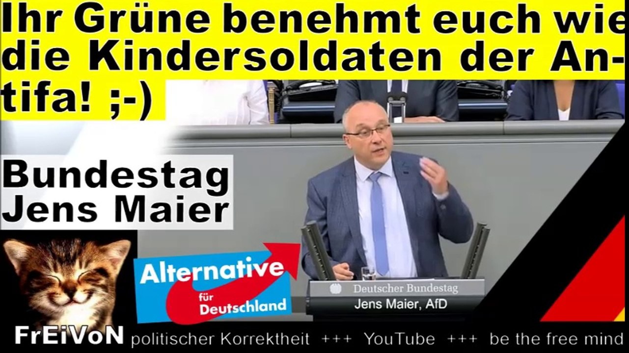 Ihr Grünen benehmt euch wie Kindersoldaten der Antifa! Maier (AfD) * HD