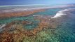 Great Barrier Reef with David Attenborough S01 - Ep03 Survival - Part 01 HD Watch