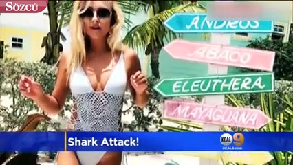 ABD'li Model Fotoğraf Çektirmek İçin Risk Aldı, Köpek Balıklarına Yem Oldu