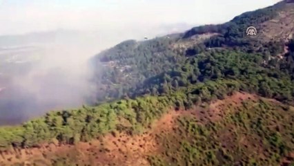Ortaca'da orman yangını - MUĞLA