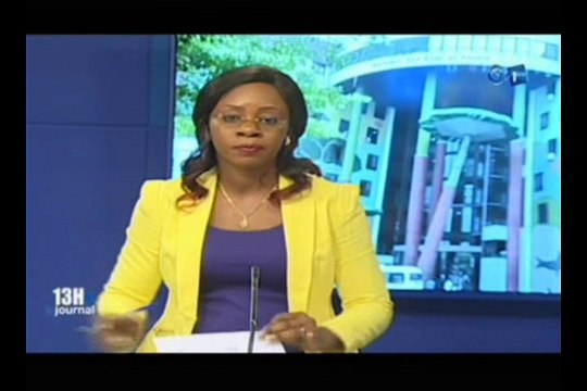 RTG/Audience entre le ministre des eaux et forêts et une délégation d’investisseurs Vietnamiens