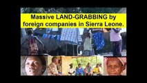 SIERRA LEONE:-Massive LAND-GRABBING by foreign companies in Sierra Leone.   The silent destabilisation of rural communities of Sierra Leone is happening on a