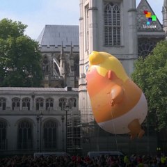 Trump Baby Blimp Fly Over London