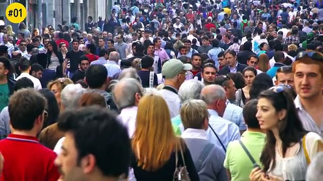 Reaction Time Test: How Fast Your Brain Works