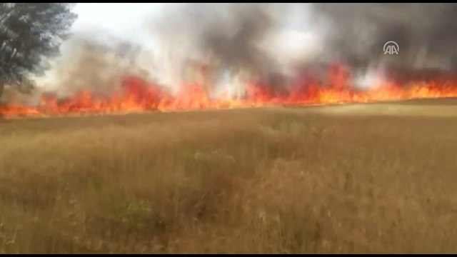 Sorgun'da tarla yangını - YOZGAT