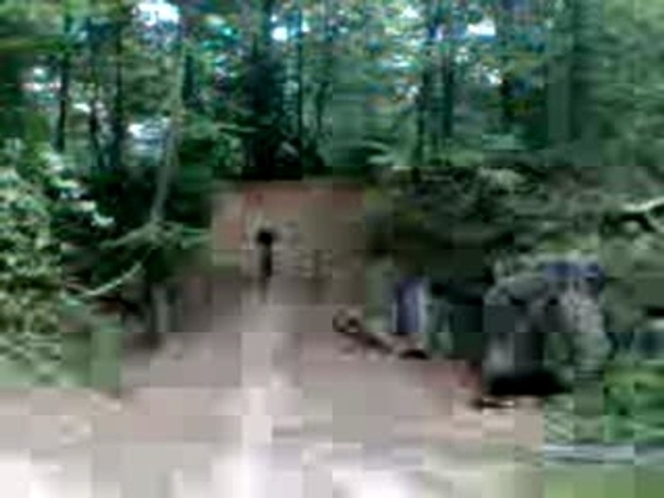 Vidéo011