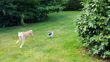 Jeux du soir au jardin