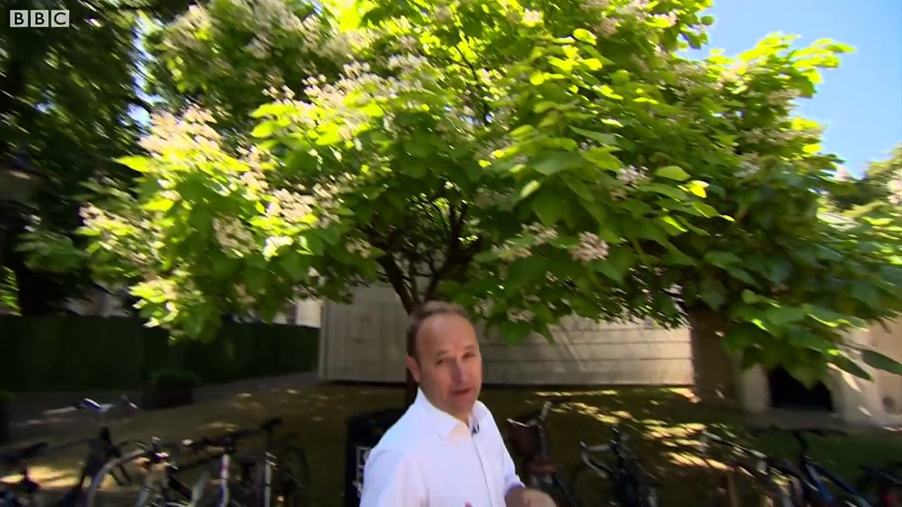 London can expect hotter summers in the future – BBC London News
