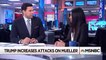 President Donald Trump Hurls Attacks At The Special Counsel Robert Mueller | MSNBC