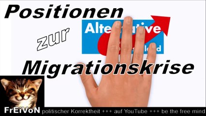 AfD * kurz & knackig * Positionen zur Migrationskrise Asylkrise * HD