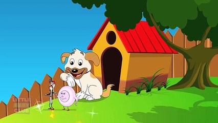 Hey Diddle Diddle Nursery Rhyme