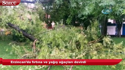 Erzincan’da fırtına ve yağış ağaçları devirdi