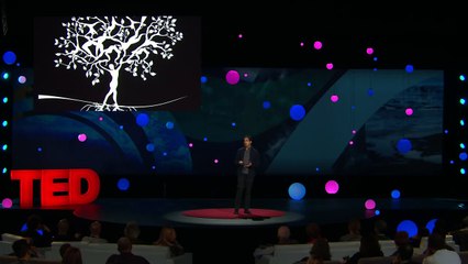 Four billion years of evolution in six minutes   Prosanta Chakrabarty