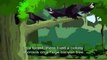 Panchatantra Tales - The Owl and The Crow - Moral Stories for Children - Animated Stories for Kids - Video Dailymotion