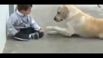 فيديو ابكى العالم... الكلب والطفل المعاق ذهنيا