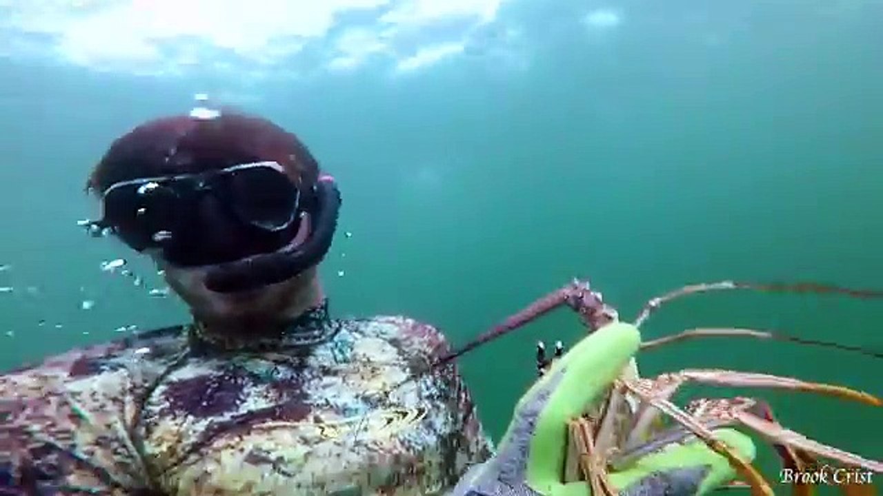 FOUND $100's on The Ocean Floor! Gold Mine While Diving for Lobsters!