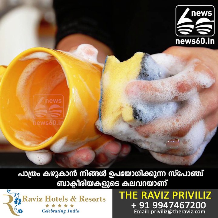 Cleaning a Dirty Sponge Only Helps Its Worst Bacteria, Study Says