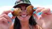 Scalloping in Steinhatchee Florida! (Catch and Cook with Brook! #3)