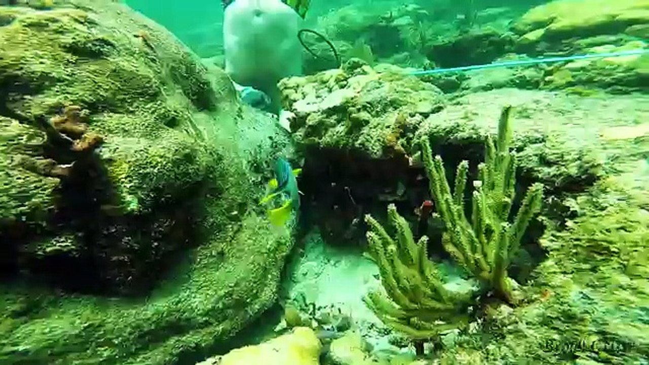 Snorkeling and Lobstering Ft Lauderdale, Florida