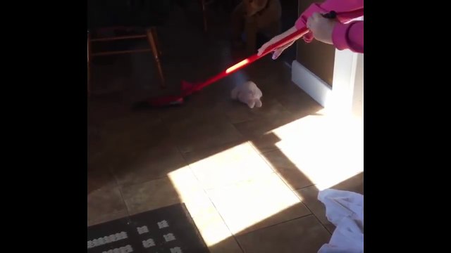 Best Of Cute Golden Retriever Puppies Compilation #28 - Funny Dogs 2018_13-06-2018_4