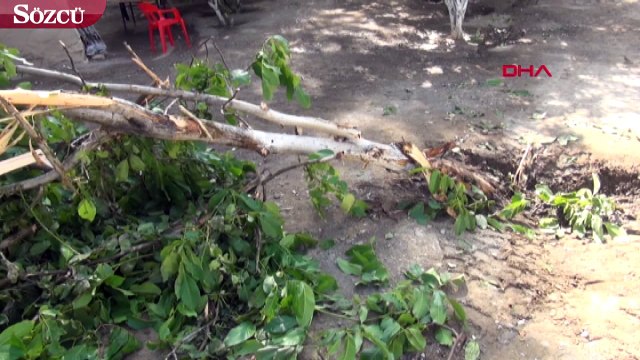 Van’da, eylem için gelen 2 terörist öldürüldü! Olay yeri görüntüleri